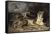 Jeune tigre jouant avec sa mère-Eugene Delacroix-Framed Stretched Canvas