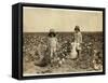 Jewel and Harold Walker-Lewis Wickes Hine-Framed Stretched Canvas