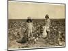 Jewel and Harold Walker-Lewis Wickes Hine-Mounted Giclee Print