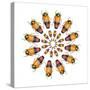 Jewel Beetle Metaxymorpha Nigrofasicata-Darrell Gulin-Stretched Canvas