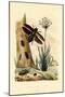 Jewel Beetles, 1833-39-null-Mounted Giclee Print