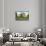 Jewel Box, Forest Park, St. Louis, Missouri-null-Framed Stretched Canvas displayed on a wall