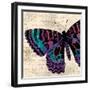 Jewel Dreams I-Elizabeth Medley-Framed Art Print