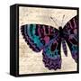 Jewel Dreams I-Elizabeth Medley-Framed Stretched Canvas