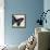 Jewel Dreams II-Elizabeth Medley-Framed Stretched Canvas displayed on a wall