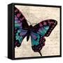 Jewel Dreams II-Elizabeth Medley-Framed Stretched Canvas