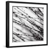 Jewel Drops-David Gray-Framed Art Print