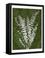 Jewel Ferns I-James Burghardt-Framed Stretched Canvas