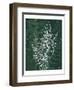 Jewel Ferns II-James Burghardt-Framed Art Print