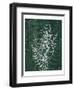 Jewel Ferns II-James Burghardt-Framed Art Print