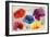 Jewel Florals-Anna Polanski-Framed Premium Giclee Print