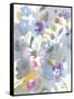 Jewel Garden II-Danhui Nai-Framed Stretched Canvas