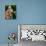 Jewel Kilcher-null-Photo displayed on a wall