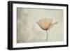 jewel of nature-Gilbert Claes-Framed Giclee Print