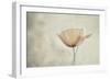 jewel of nature-Gilbert Claes-Framed Giclee Print