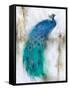 Jewel Plumes I-J.P. Prior-Framed Stretched Canvas