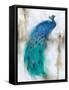 Jewel Plumes I-J.P. Prior-Framed Stretched Canvas