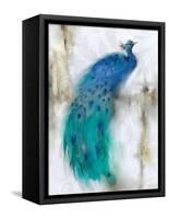 Jewel Plumes I-J.P. Prior-Framed Stretched Canvas