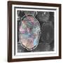 Jewel Toned Logs-Sheldon Lewis-Framed Art Print