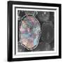 Jewel Toned Logs-Sheldon Lewis-Framed Art Print