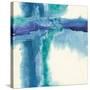 Jewel Tones I-Chris Paschke-Stretched Canvas