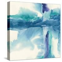 Jewel Tones II-Chris Paschke-Stretched Canvas