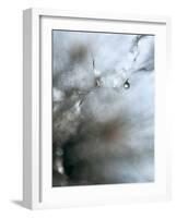 Jewel-Ursula Abresch-Framed Photographic Print