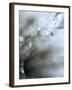 Jewel-Ursula Abresch-Framed Photographic Print