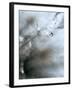 Jewel-Ursula Abresch-Framed Photographic Print