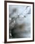 Jewel-Ursula Abresch-Framed Photographic Print