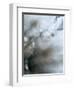 Jewel-Ursula Abresch-Framed Premium Photographic Print