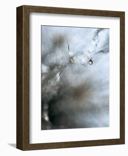 Jewel-Ursula Abresch-Framed Photographic Print