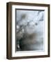 Jewel-Ursula Abresch-Framed Photographic Print