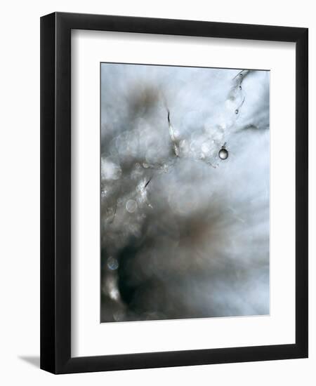 Jewel-Ursula Abresch-Framed Photographic Print