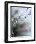 Jewel-Ursula Abresch-Framed Photographic Print