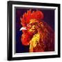 Jewel-Marion Rose-Framed Giclee Print