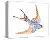 Jeweled Barn Swallow I-Jacob Green-Stretched Canvas