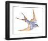 Jeweled Barn Swallow I-Jacob Green-Framed Art Print