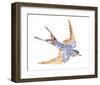 Jeweled Barn Swallow I-Jacob Green-Framed Art Print