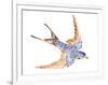 Jeweled Barn Swallow I-Jacob Green-Framed Art Print