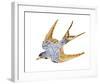 Jeweled Barn Swallow II-Jacob Green-Framed Art Print