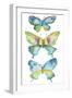 Jeweled Butterflies IV-Chariklia Zarris-Framed Art Print