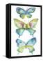 Jeweled Butterflies IV-Chariklia Zarris-Framed Stretched Canvas