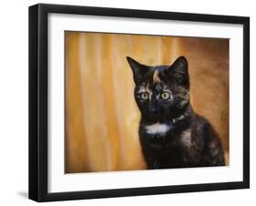 Jeweled Eyes Tortoiseshell Kitten-Jai Johnson-Framed Giclee Print