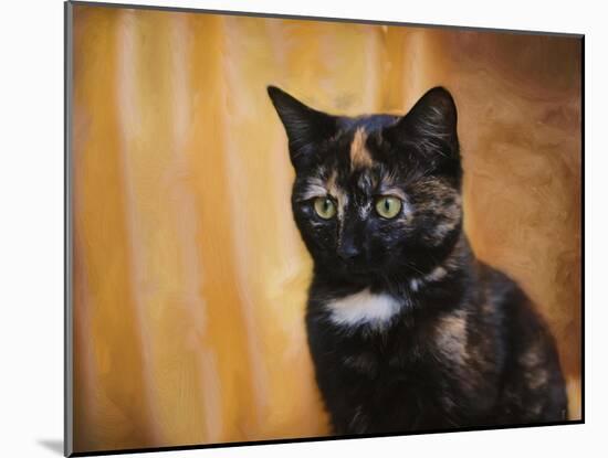 Jeweled Eyes Tortoiseshell Kitten-Jai Johnson-Mounted Giclee Print