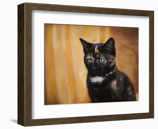 Jeweled Eyes Tortoiseshell Kitten-Jai Johnson-Framed Giclee Print