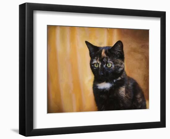 Jeweled Eyes Tortoiseshell Kitten-Jai Johnson-Framed Premium Giclee Print