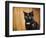 Jeweled Eyes Tortoiseshell Kitten-Jai Johnson-Framed Premium Giclee Print