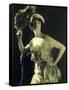 Jeweled Gown and Tiara, 1916-Science Source-Framed Stretched Canvas