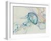 Jeweled Jellies-Rikki Drotar-Framed Giclee Print